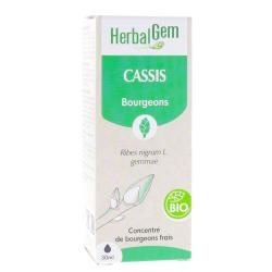 Cassis Macérat Concentré de Bourgeons Bio 30ml