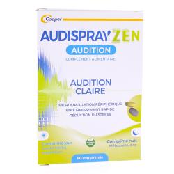 AUDISPRAYZEN J30N30