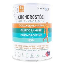 CHONDROSTEO COLLAGENE POUDRE P280G