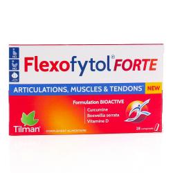FLEXOFYTOL FORTE CPR BT28
