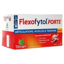 FLEXOFYTOL FORTE CPR BT84
