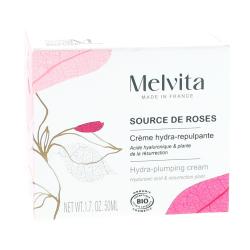 MELVITA SOURCE CREME HYDRA REPULP 40ML