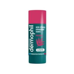 DERMOPHIL STICK LEV SOIN TEINTE PRUNEL 4G