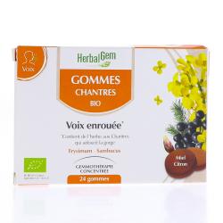 HERBALGEM GOMMES CHANTRES 24