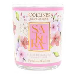 COLLINES PROV BOUGIE FLEUR SAKURA 180G