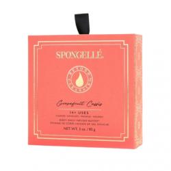 SPONGELLE PAMPL CASSIS AVEC BTE