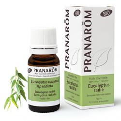 PRANAROM Huile essentielle eucalyptus radie bio 10ml