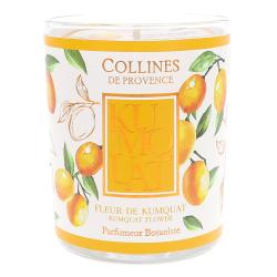 COLLINES PROV BOUGIE FLEUR KUMQUAT 180G