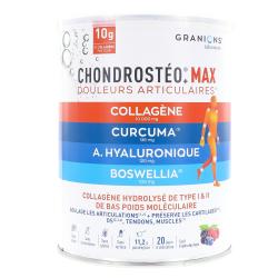 CHONDROSTEO MAX COLLAGENE 226G