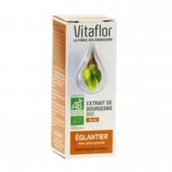 Eglantier 15ml