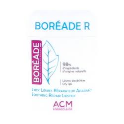 Boreade r stick a levres 11 ml