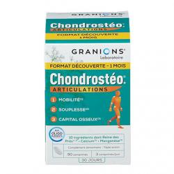 CHONDROSTEO FORT CPR B/90