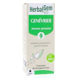 Mac&eacute;rat concentr&eacute; de Gen&eacute;vrier bio 30ml