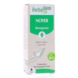 Noyer Bourgeons Bio 30ml