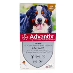 ADVANTIX TRES GRAND CHIEN Boîte de 1 sachet de 1 plaquette thermoformée de 4 pipettes de 6 mL