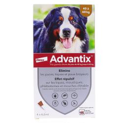 ADVANTIX TRES GRAND CHIEN Boîte de 1 sachet de 1 plaquette thermoformée de 4 pipettes de 6 mL