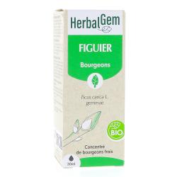 Figuier Macérat bio Fl c-gtt/30ml
